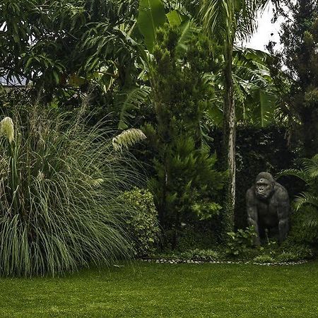 Casa Domingo Hotel Petit Miacatlan Exterior photo