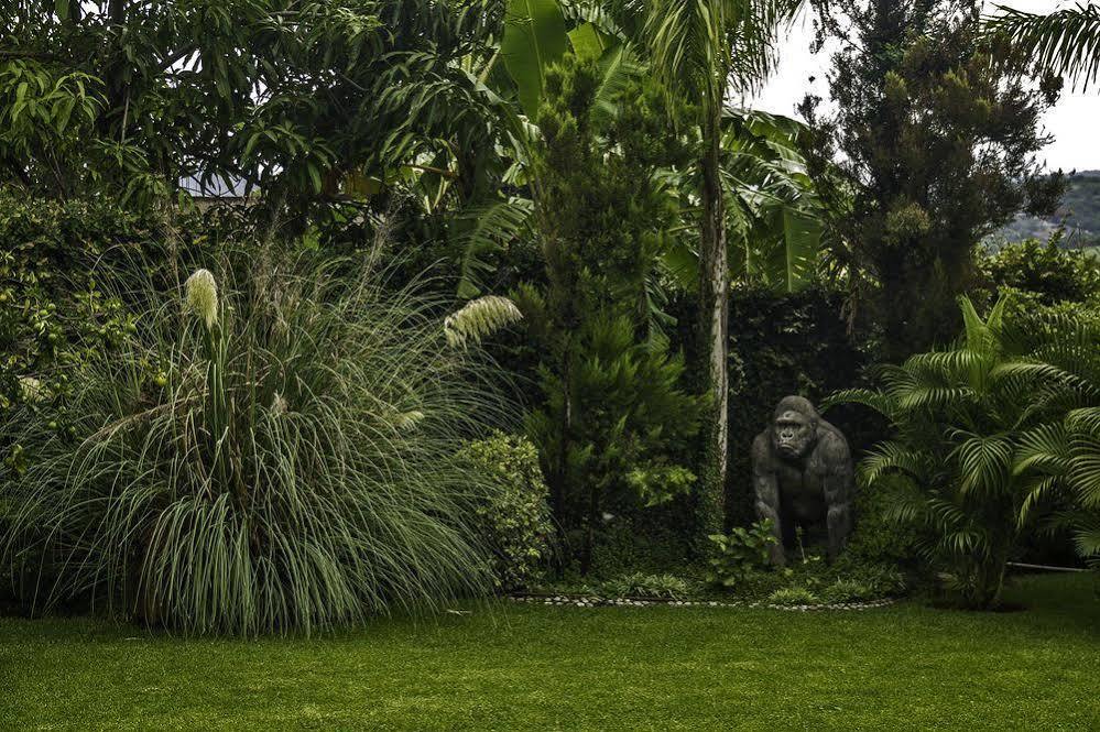 Casa Domingo Hotel Petit Miacatlan Exterior photo